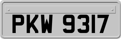 PKW9317