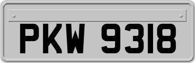 PKW9318