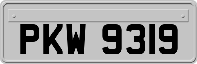 PKW9319
