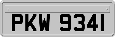PKW9341