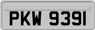PKW9391