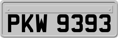 PKW9393