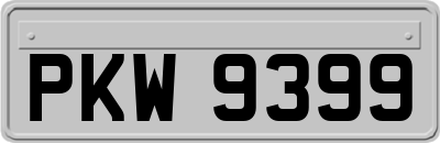 PKW9399