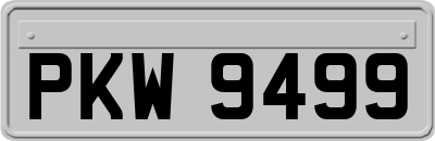 PKW9499