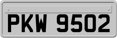PKW9502