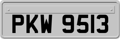 PKW9513