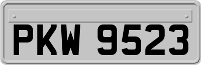 PKW9523