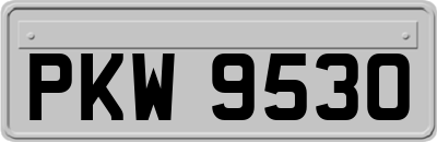 PKW9530