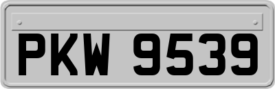 PKW9539