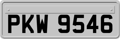 PKW9546