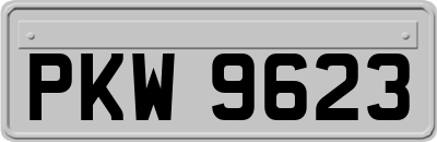PKW9623