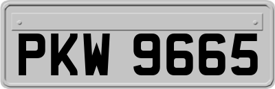 PKW9665