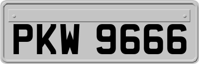 PKW9666