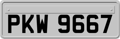 PKW9667