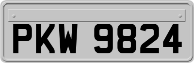 PKW9824