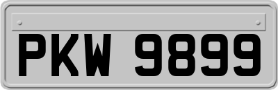 PKW9899