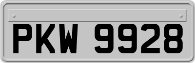 PKW9928