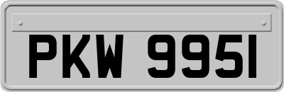 PKW9951