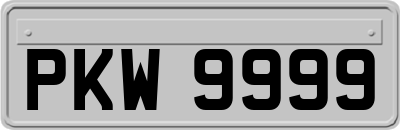 PKW9999