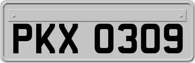 PKX0309