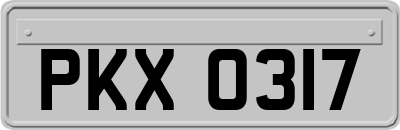 PKX0317