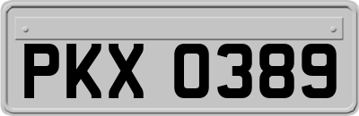 PKX0389