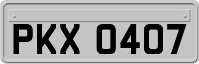 PKX0407