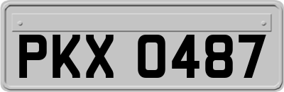 PKX0487