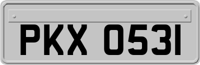 PKX0531