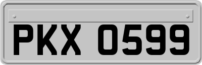 PKX0599