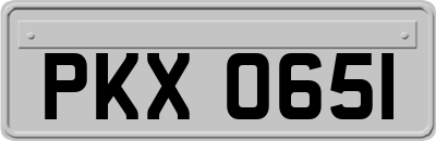 PKX0651