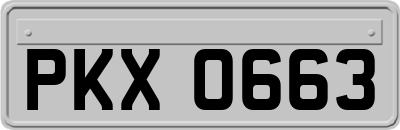 PKX0663