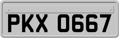 PKX0667