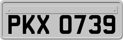 PKX0739