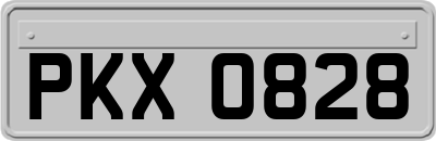 PKX0828