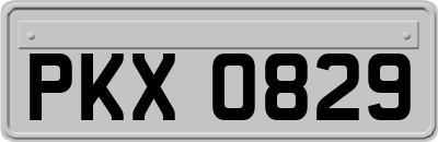 PKX0829