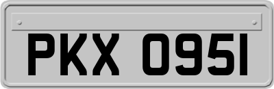 PKX0951