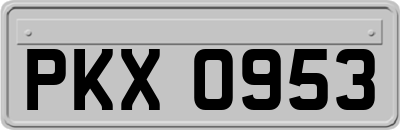 PKX0953