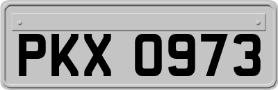 PKX0973