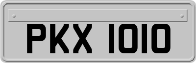 PKX1010