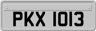 PKX1013