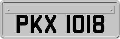 PKX1018