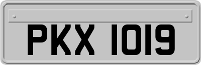 PKX1019