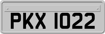 PKX1022