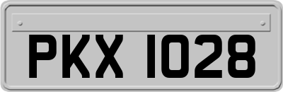 PKX1028