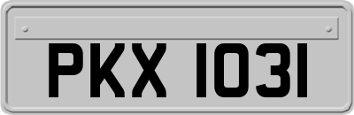 PKX1031