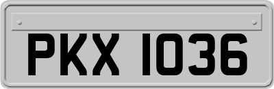 PKX1036