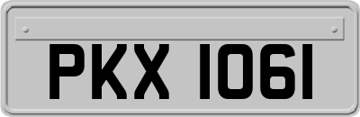 PKX1061