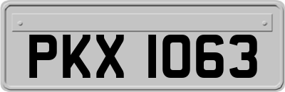 PKX1063