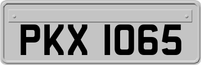 PKX1065